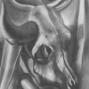 Cow-Skull.jpg